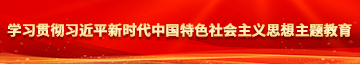 中国的大鸡巴操逼视频学习贯彻习近平新时代中国特色社会主义思想主题教育